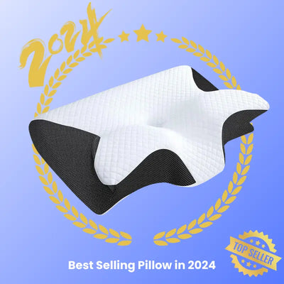 dreamcurve best selling pillow of 2024